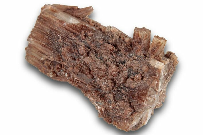 Twinned Aragonite Crystal Cluster - Minglanilla, Spain #244838